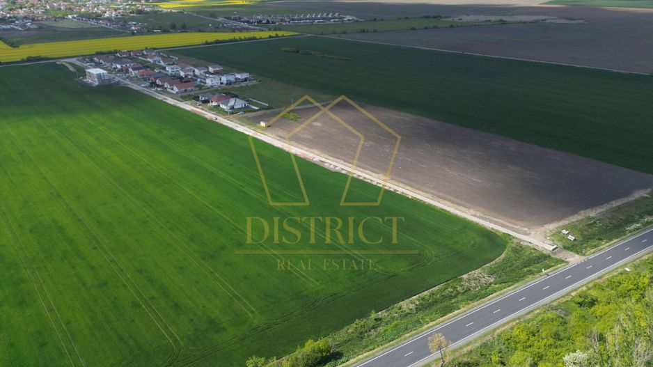 COM 0% Teren industrial pentru hale, servicii | DN69 Sanandrei - Poză 5