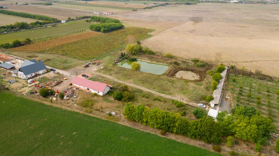 Teren intravilan cu iazuri și casă - Chișineu-Criș - Poză 21