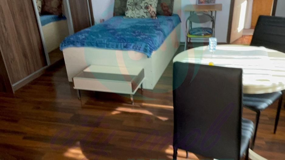 Garsoniera gata de mutat Tineretului-Mărășești - Poză 7