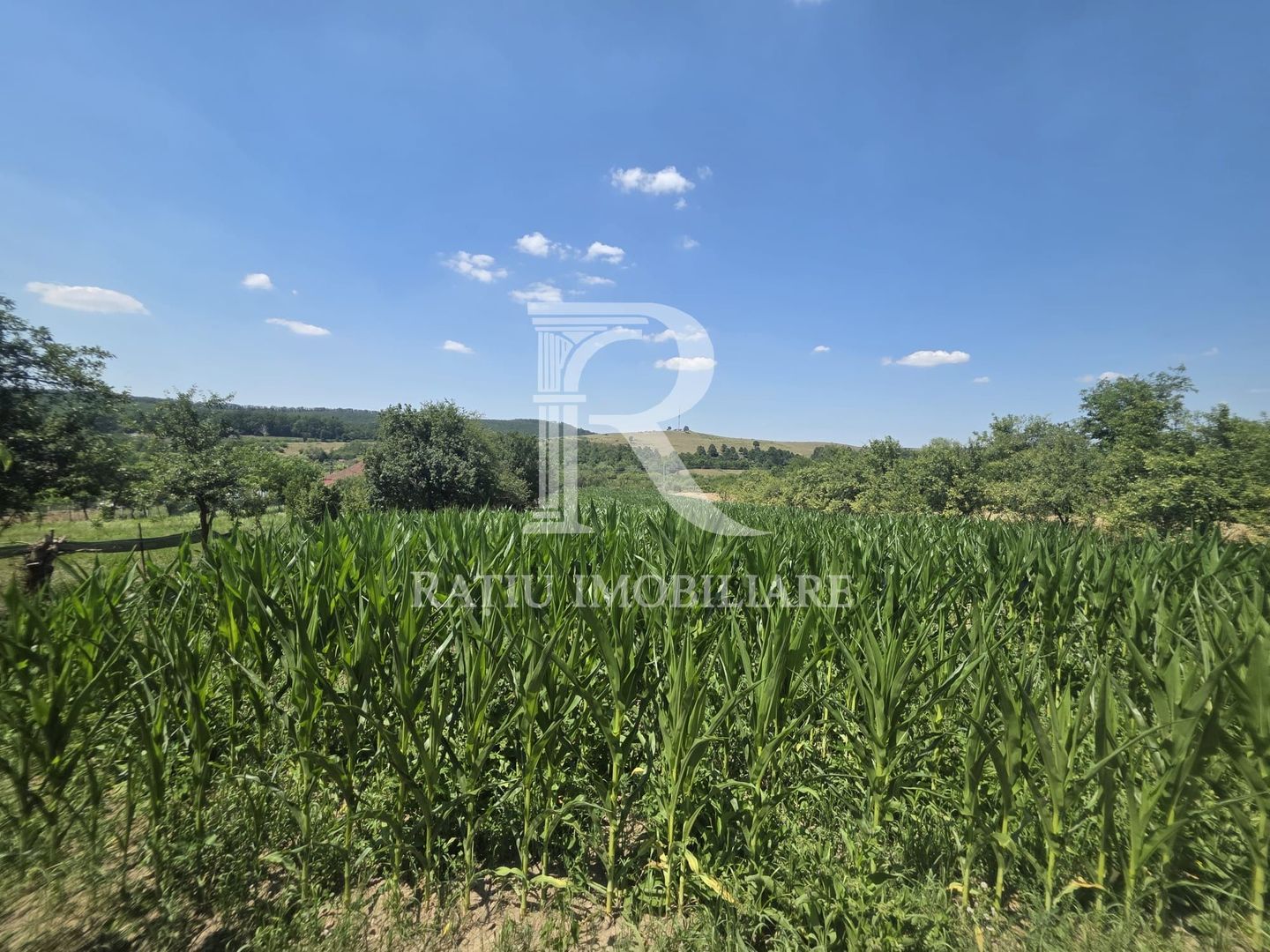 Casa de vânzare cu teren generos | Sumugiu | Bihor - Poză 32