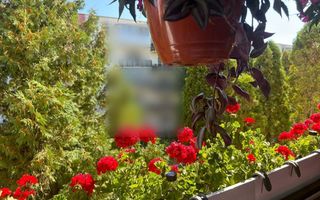 Apartament 4 camere, strada Mehedinți, Mănăștur. - Poză 8