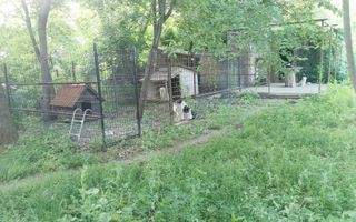 Vanzare casa conslidata Silistea Snagovului Comuna Gruiu, Ilfov Snagov - Poză 34