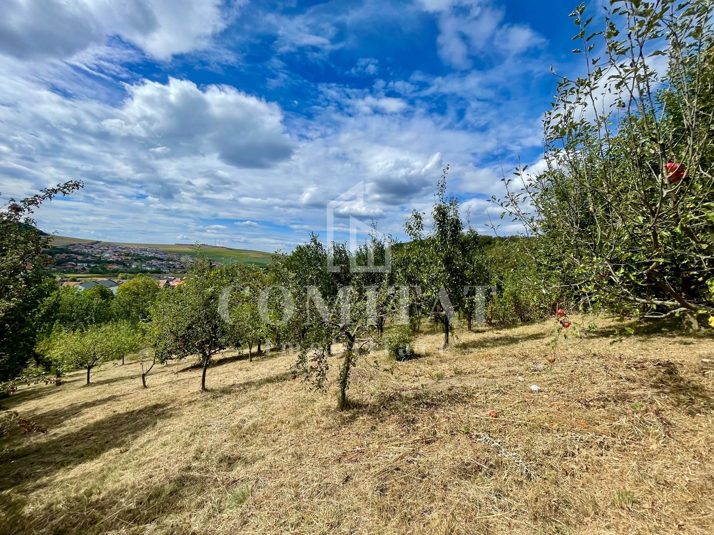 Casă + 1 apartament separat pe teren de 1.949 mp  cu panoramă Chinteni - Poză 30