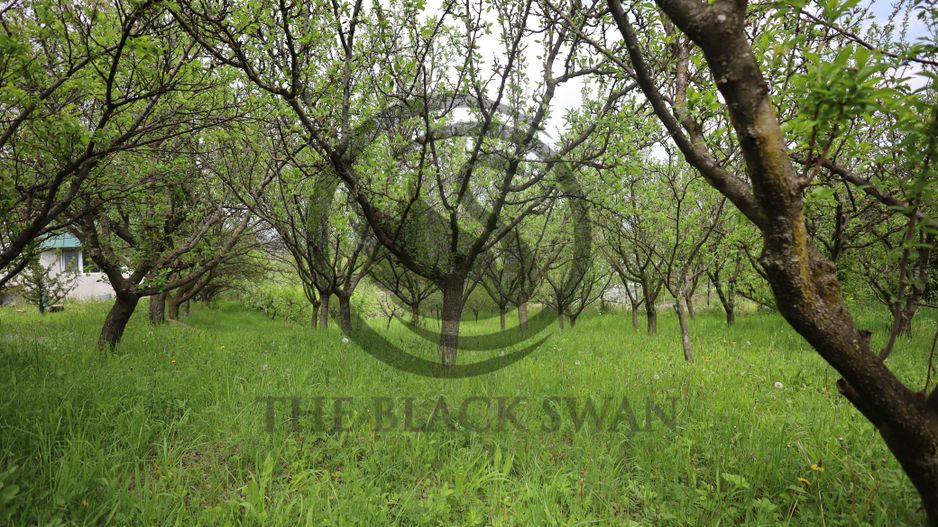 Casa 4 camere de vanzare | 1311 mp | Varfurile, Prahova | Comision 0% - Poză 20