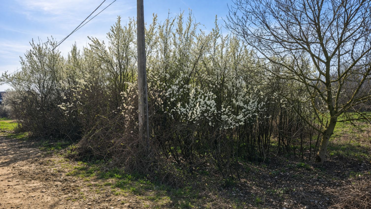 Teren intravilan, 1080 mp, Lipova - Poză 1