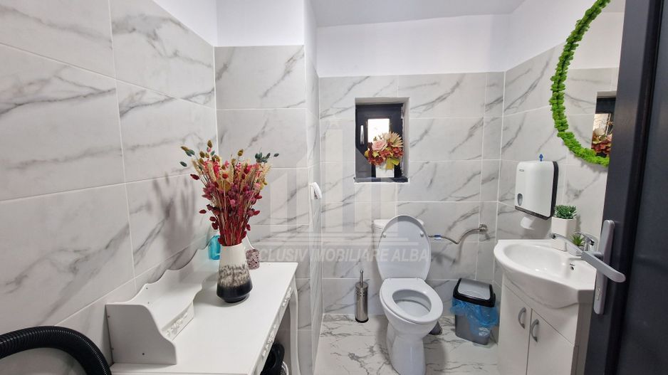 Casa pentru activitati economice  in Cetate - Poză 5