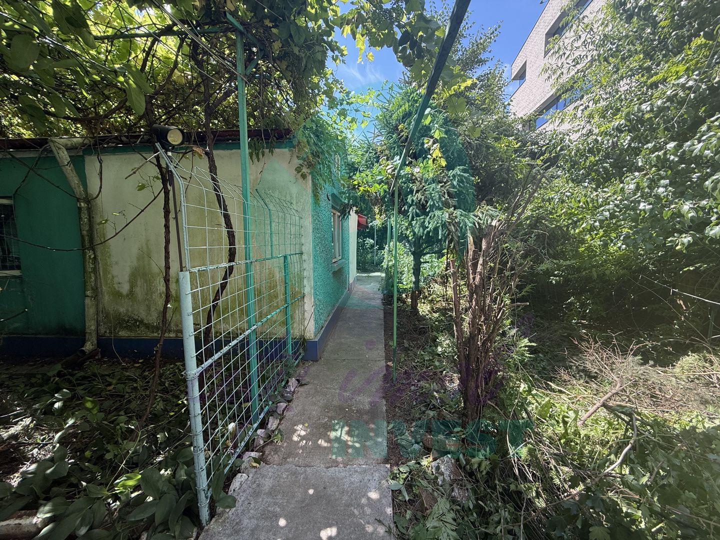 "Casa bunicii" pe un lot de teren de 307 mp - Poză 2