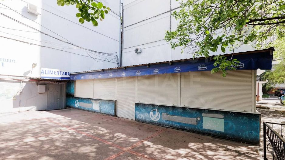 Vânzare, spațiu comercial, 256 mp + 2.8 ari, Liviu Deleanu, Buiucani - Poză 15