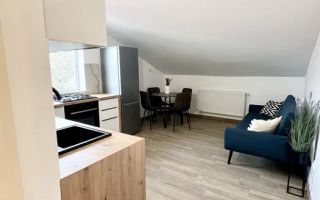 2 Camere open space, Borhanci, Prima inchiriere, Zona Istvan Bocksai - Poză 3