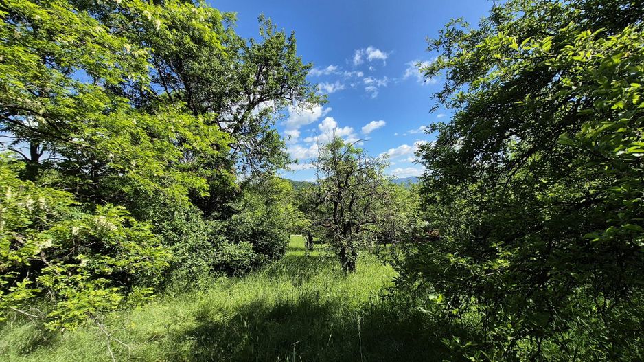 Teren intravilan 1290 mp Plaiu-Provita de Sus - Poză 1