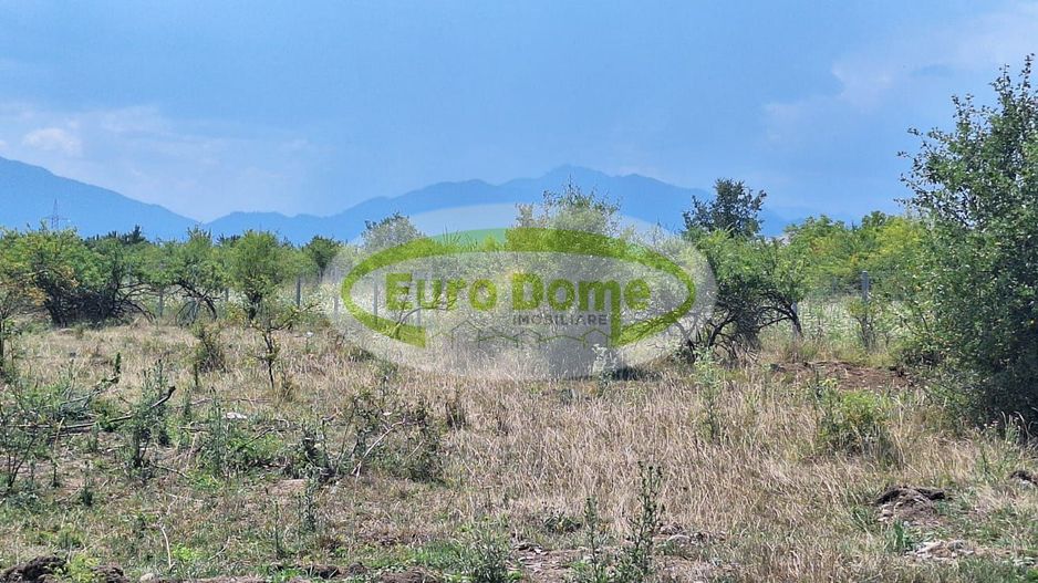 Sanpetru, str. Piersicului, teren 1182mp, 40 euro/mp - Poză 9