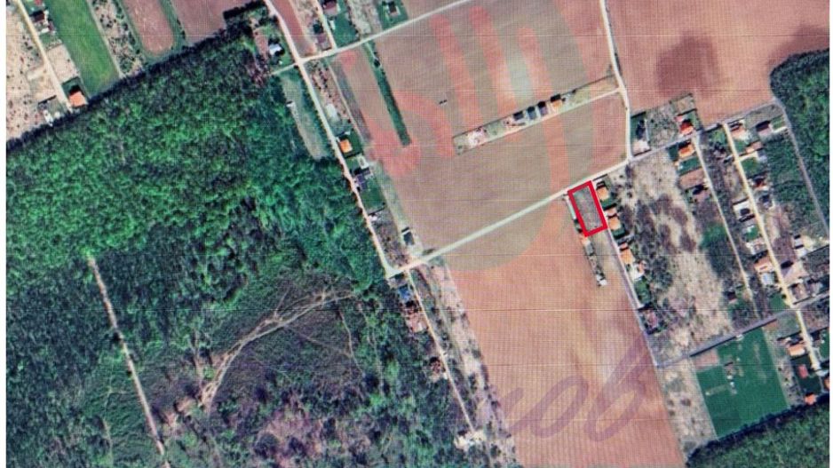 Vanzare teren constructie casa CIOFLICENI - SNAGOV - Poză 4