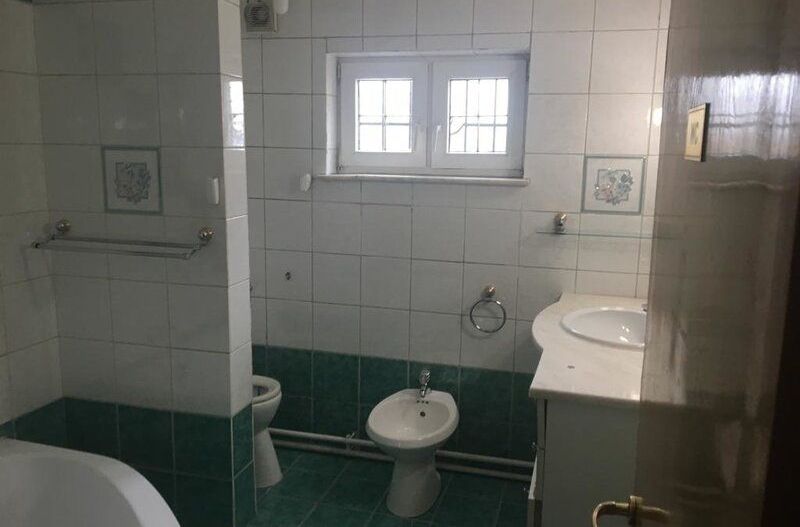 Cotroceni Vila, Palatul Cotroceni - Poză 11