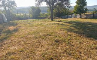 proprietar, vand teren intravilan in ciurea - Poză 4