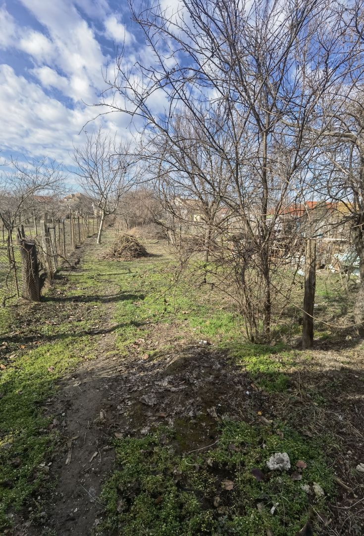 Casa cu teren generos- Recas - Poză 14