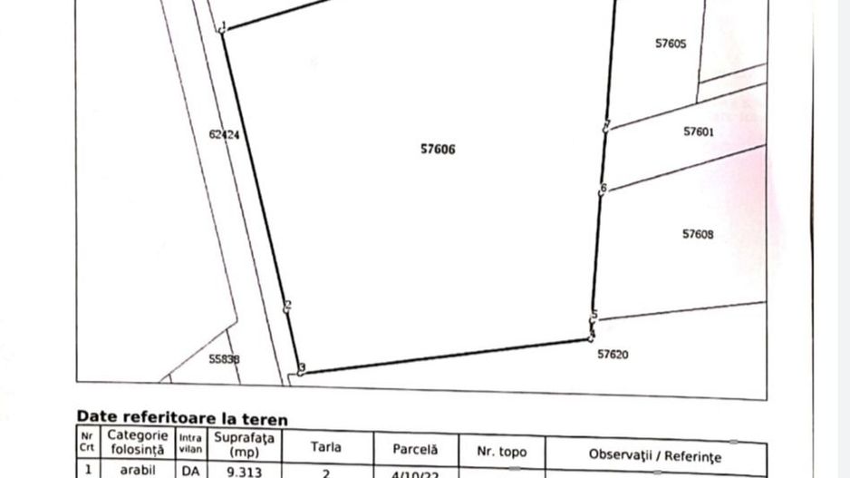 Teren intravilan 9313 mp in comuna 1 Decembrie - Ilfov - Poză 4