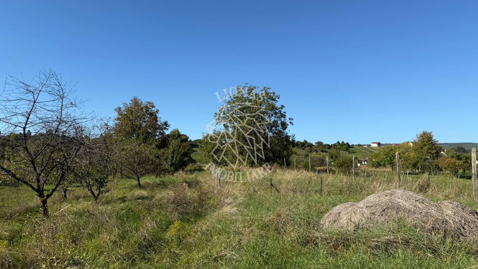 Teren intravilan 965 mp-imprejmuit-ideal casa-Livezile - Poză 3