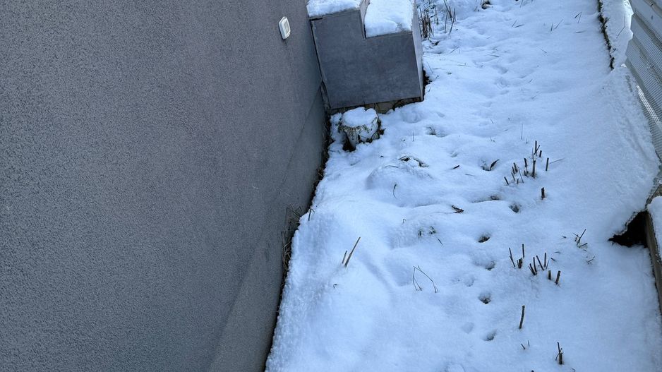 Braytim | 2 Camere | Curte proprie | Mobilat si Utilat - Poză 10