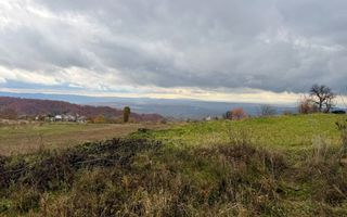 Teren Negreia - Poză 2