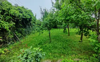 CASA INDIVIDUALA GHIRODA +TEREN 1752 MP - Poză 40