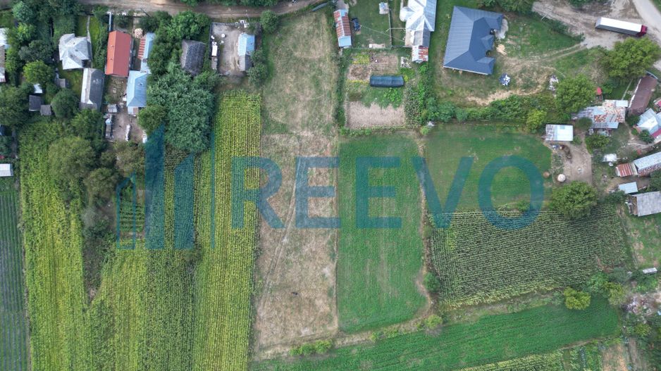 Teren intravilan 4.000 mp Blăgești, Bacău - Poză 5