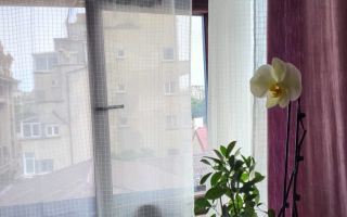 Garsonieră superbă | Cismigiu  | mobilată si utilată complet - Poză 7
