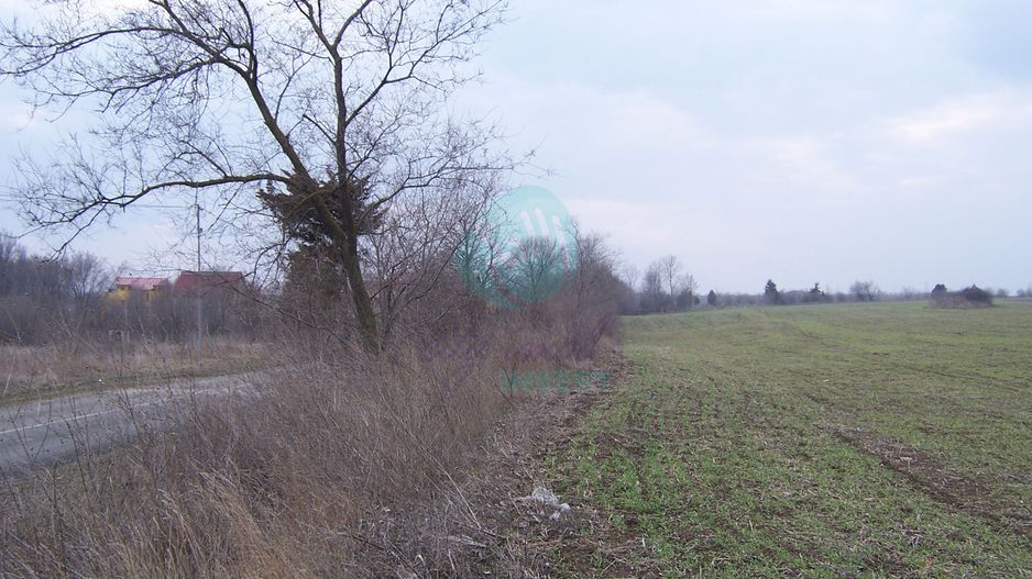 Teren constructii intravilan de 1000 mp, Venus - Poză 2