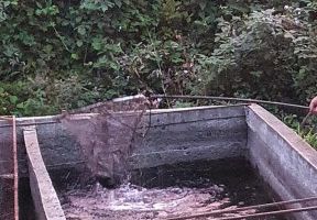 Casă cu suflet și priveliște de poveste – Crasna, Gorj - Poză 31
