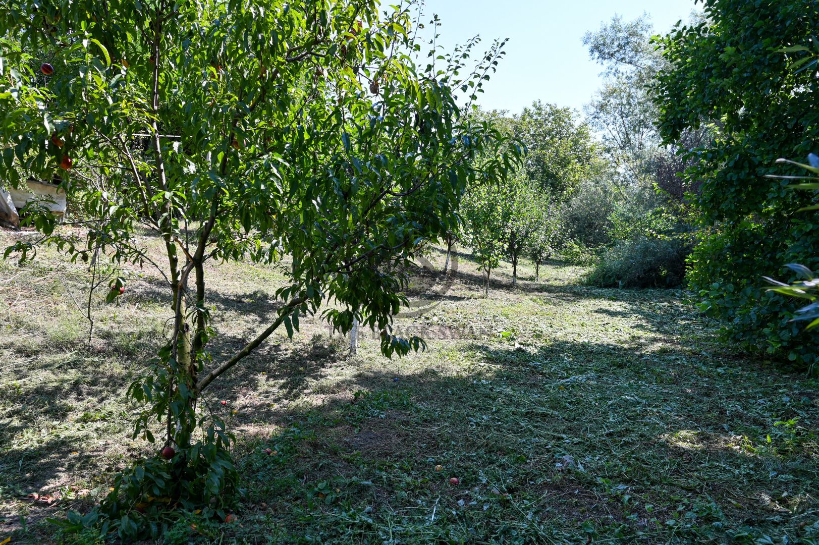 Casa de vanzare | Teren 3.000 mp | Izvor | Manesti - Coada Izvorului - Poză 19