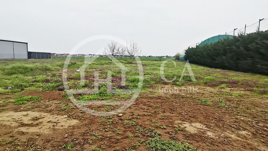 Teren intravilan de vanzare in Santandrei, Bihor - Poză 5