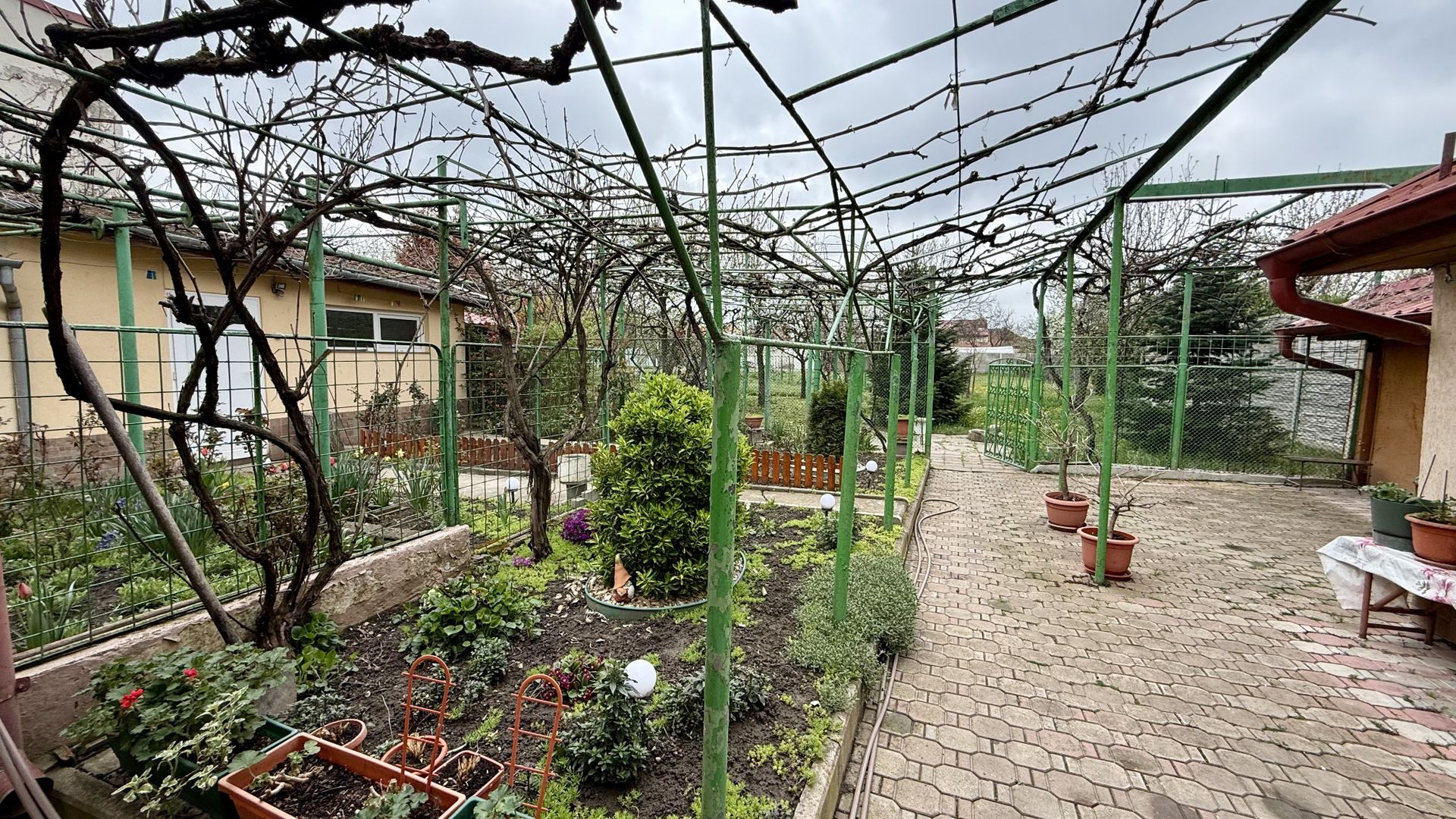 TEREN GENEROS 1000 MP - Poză 6