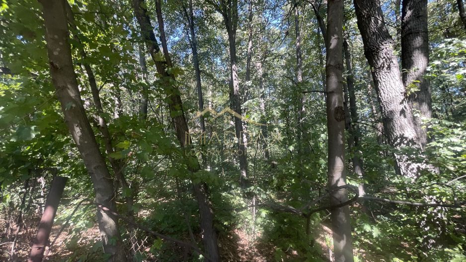 Duplex LUX***mobilat**3 camere**128 mp//View padure//Iancu Nicolae - Poză 45