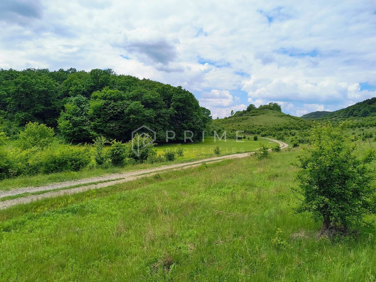 Oportunitate de investiție – 4 parcele în Corunca, 20 €/mp - Poză 4