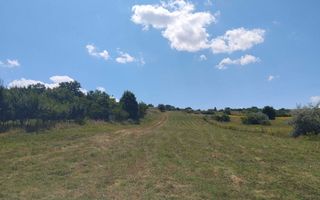 Teren de vânzare, Breazu, Iași – 6.500 mp - Poză 3