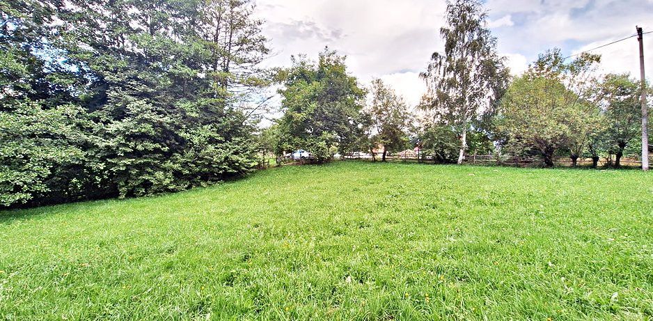 Bran Predelut teren intravilan de 2000mp, pret 27 euro/mp - Poză 7