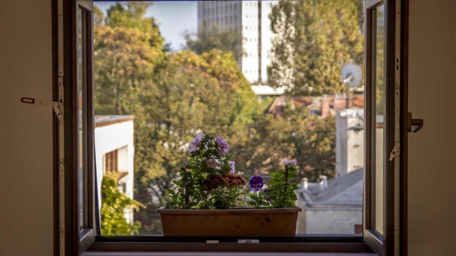 Duplex de vanzare in Cotroceni - 171mp COMISION 0% - Poză 14