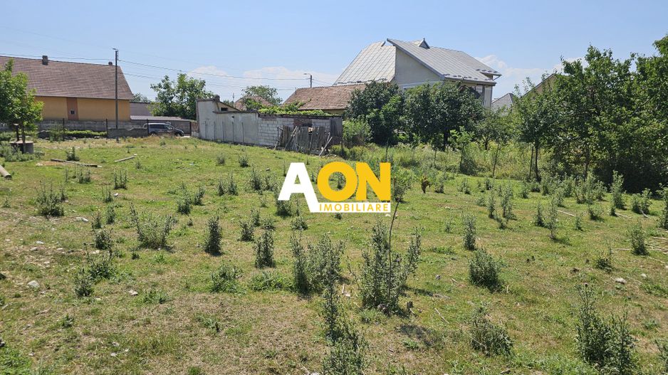 Teren la asfalt, deschidere la doua strazi, 990 mp, Barabant - Poză 3