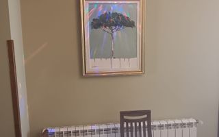 Restaurant deosebit pentru inchirire Central Oradea - Poză 4