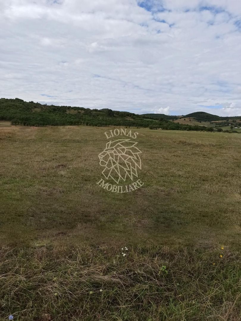 TEREN INTRAVILAN 5000 mp-ideal case,hale-Livezile PRET PROMO! - Poză 3