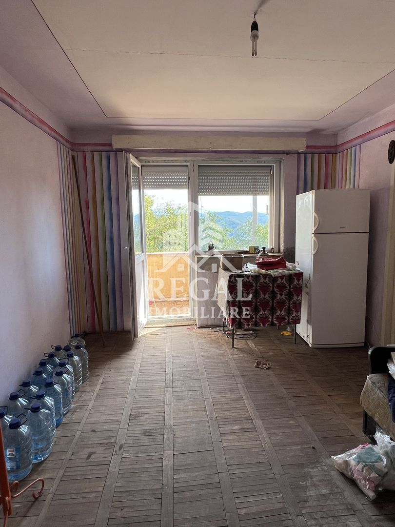 Pachet 2 apartamente – Ghelari, etaj 1, bloc reabilitat termic - Poză 1