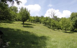 Teren intravilan 77 ari + casa | Nasaud | - Poză 2