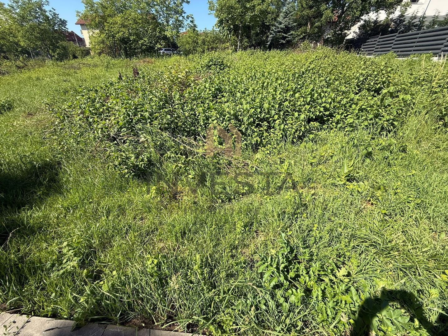 Teren intravilan  zona rezidențială Buna Ziua - Poză 2