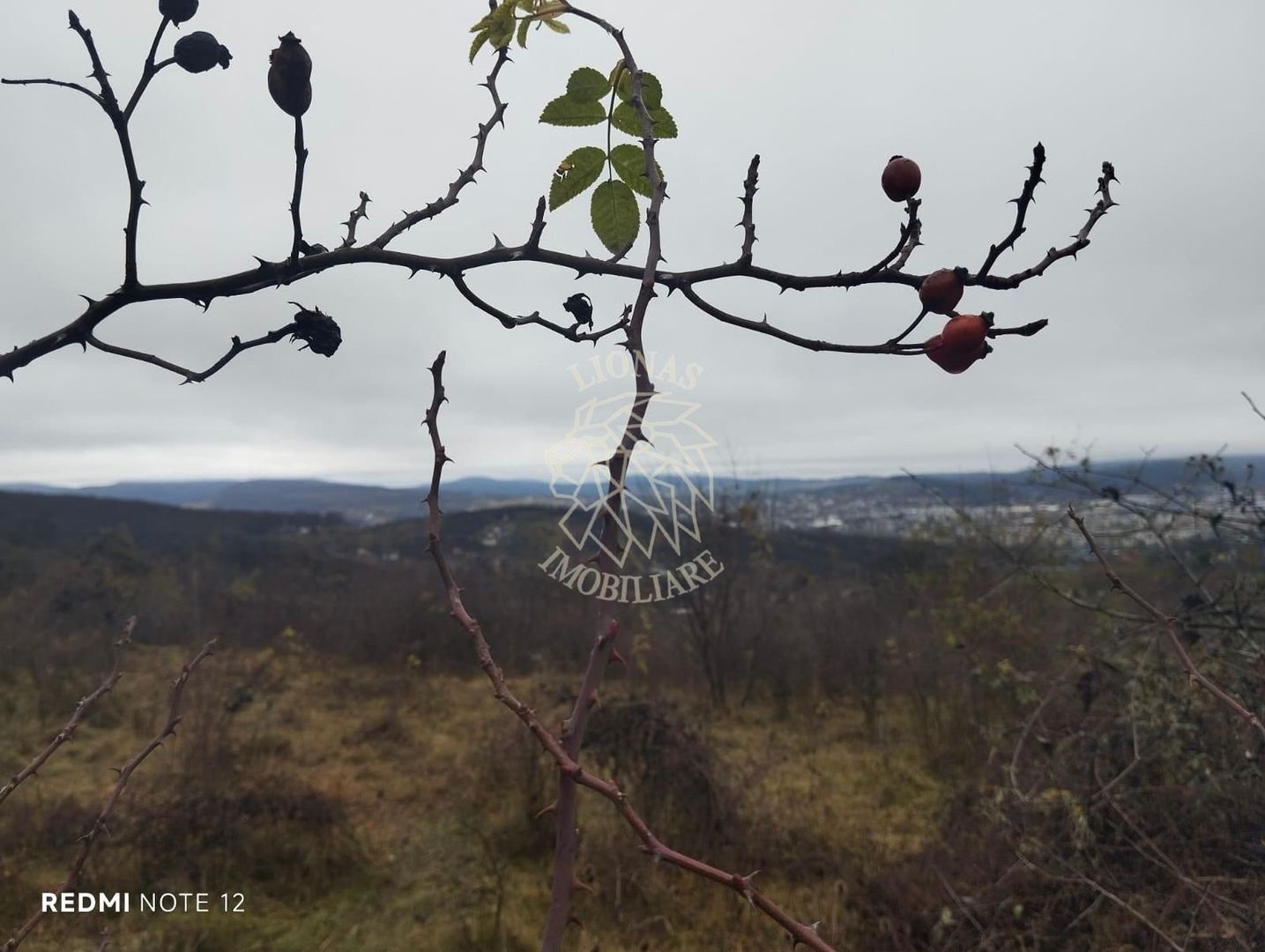 Teren 1000 mp-ideal casa de vacanta, investitie-Zona Valea Budacului - Poză 3