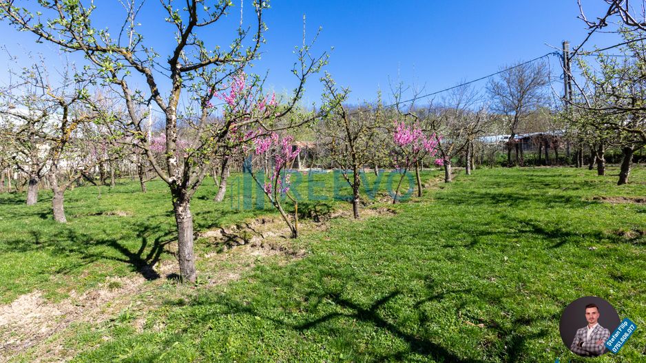 Casă și teren de vânzare, sat Buda, Blăgești, Bacău - Poză 37