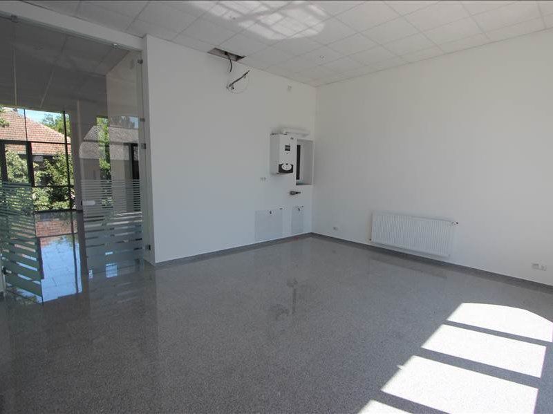 Birouri luxoase in zona centrala - Poză 3