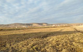 Teren dezvolatre duplex sau case individuale în Cristian - Poză 1