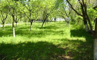 Vila de vanzare Cornu de Jos - Poză 32