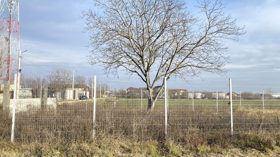 Afumati - Str. Iasomiei, 2409 MP, stradal, intravilan, deschidere 12 m - Poză 10