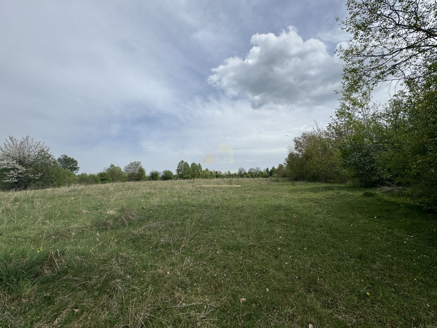 TEREN INTRAVILAN, 7472 MP, VALEA MARE PRAVAT, ARGES - Poză 9