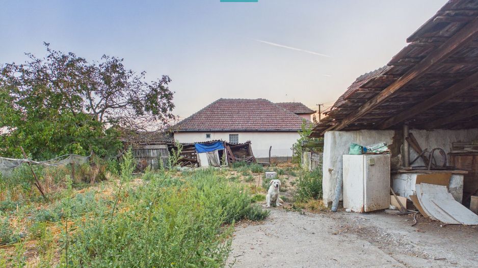 Casă  2 corpuri și 4 camere teren 1440 mp în Macea - Poză 15